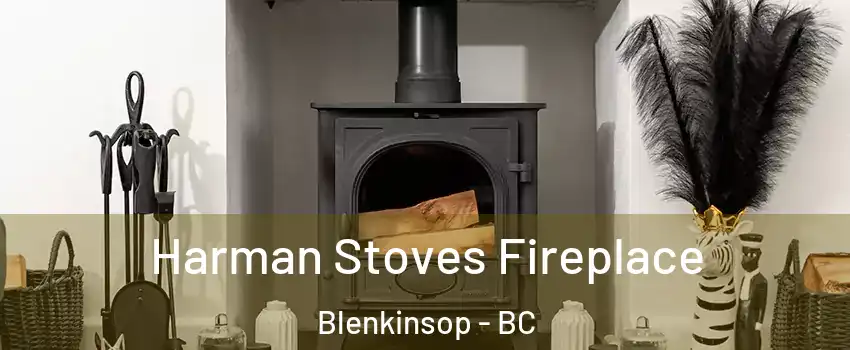  Harman Stoves Fireplace Blenkinsop - BC