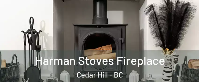  Harman Stoves Fireplace Cedar Hill - BC