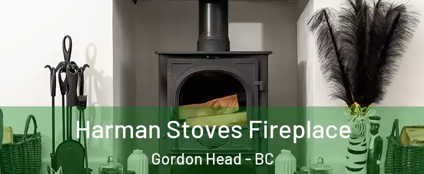 Harman Stoves Fireplace Gordon Head - BC