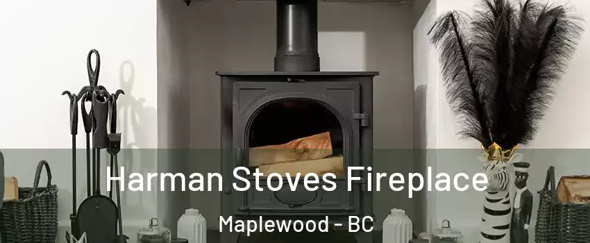  Harman Stoves Fireplace Maplewood - BC