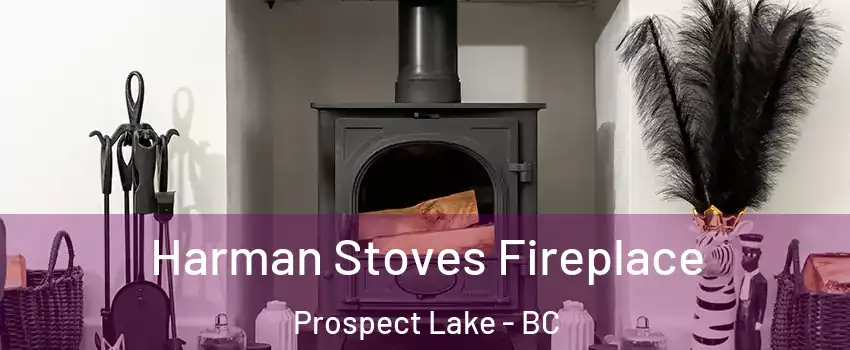 Harman Stoves Fireplace Prospect Lake - BC