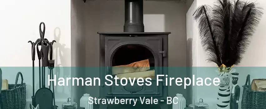  Harman Stoves Fireplace Strawberry Vale - BC