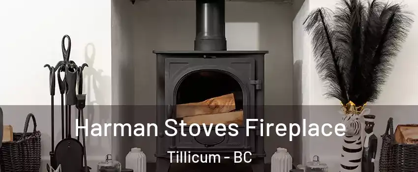  Harman Stoves Fireplace Tillicum - BC