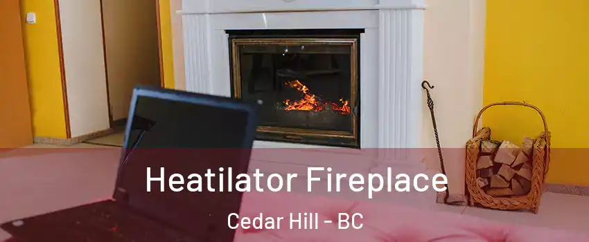  Heatilator Fireplace Cedar Hill - BC