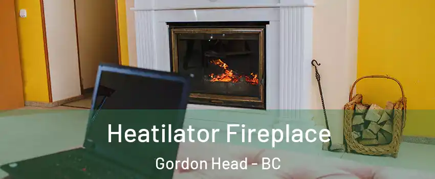  Heatilator Fireplace Gordon Head - BC
