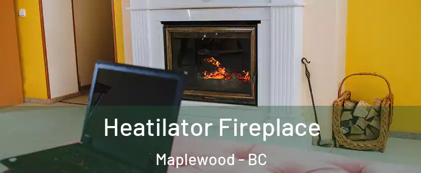  Heatilator Fireplace Maplewood - BC