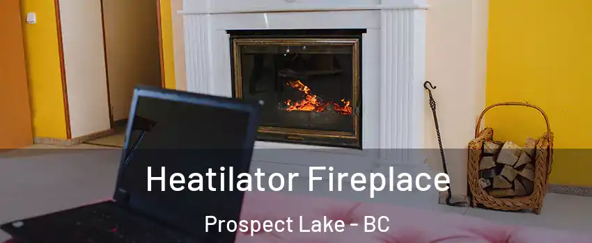  Heatilator Fireplace Prospect Lake - BC