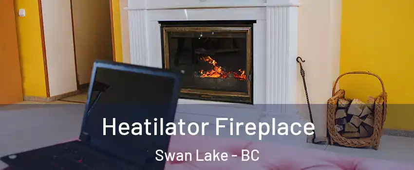  Heatilator Fireplace Swan Lake - BC