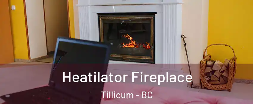  Heatilator Fireplace Tillicum - BC