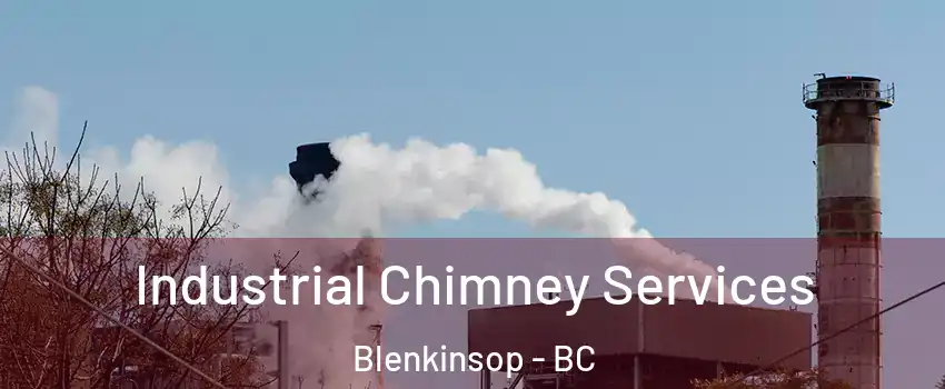  Industrial Chimney Services Blenkinsop - BC