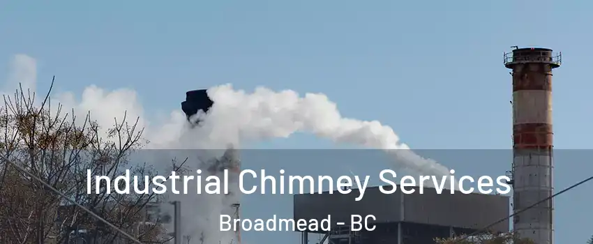  Industrial Chimney Services Broadmead - BC