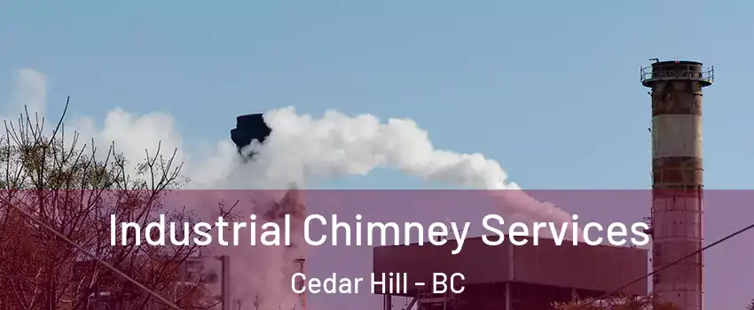  Industrial Chimney Services Cedar Hill - BC