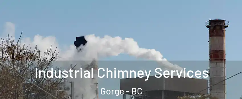  Industrial Chimney Services Gorge - BC