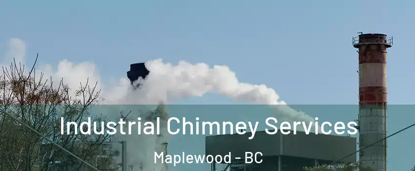  Industrial Chimney Services Maplewood - BC