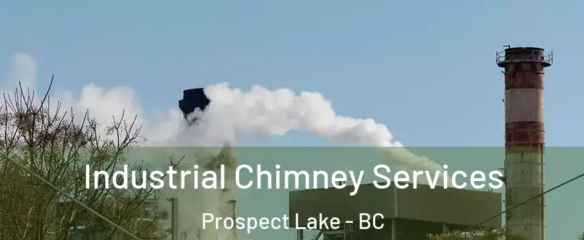  Industrial Chimney Services Prospect Lake - BC