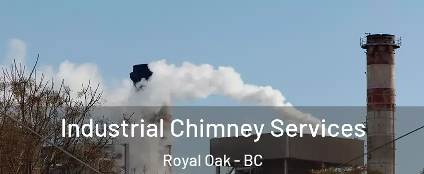Industrial Chimney Services Royal Oak - BC