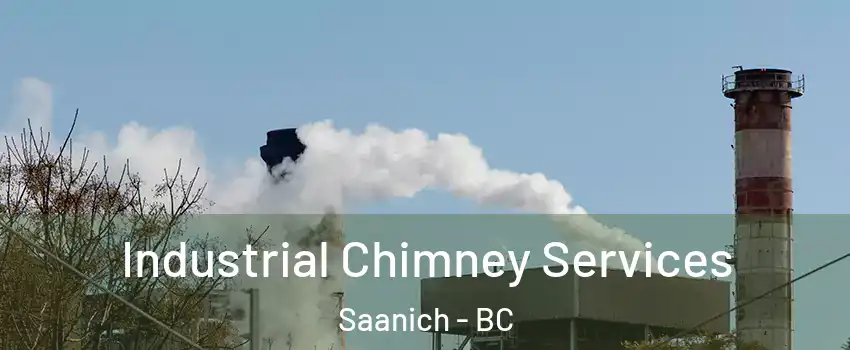 Industrial Chimney Services Saanich - BC