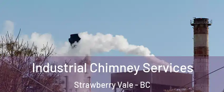  Industrial Chimney Services Strawberry Vale - BC