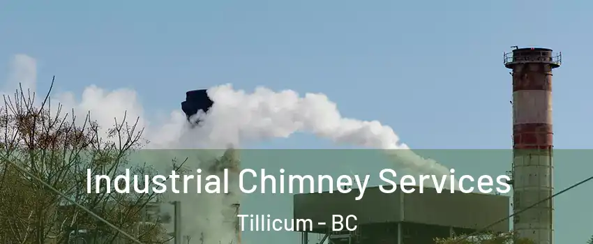  Industrial Chimney Services Tillicum - BC