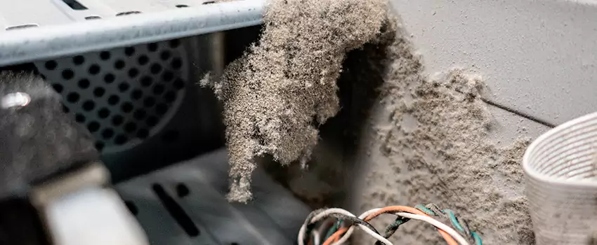 Clogged Dryer Vent Lint Cleaning in Saanich, British Columbia