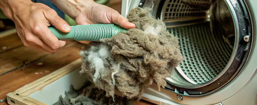 Best Dryer Lint Removal Company in Saanich, British Columbia