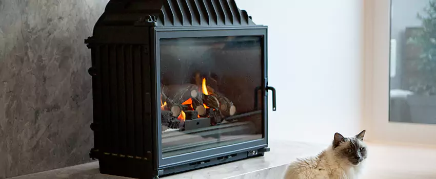 Fireplace Damaged Damper Frame Repair Services in Saanich, British Columbia
