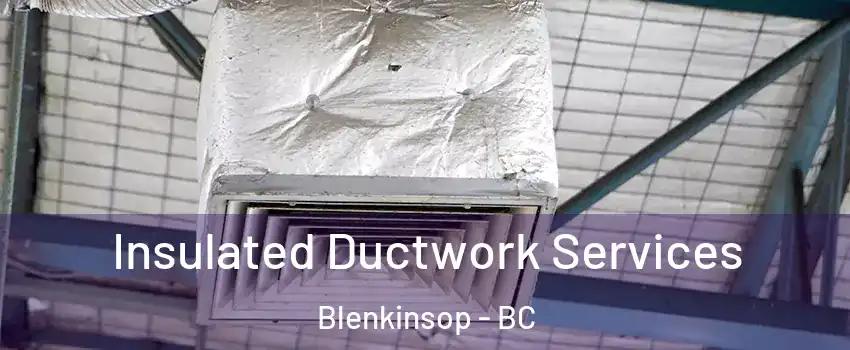  Insulated Ductwork Services Blenkinsop - BC