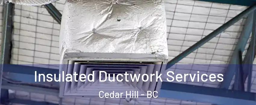 Insulated Ductwork Services Cedar Hill - BC