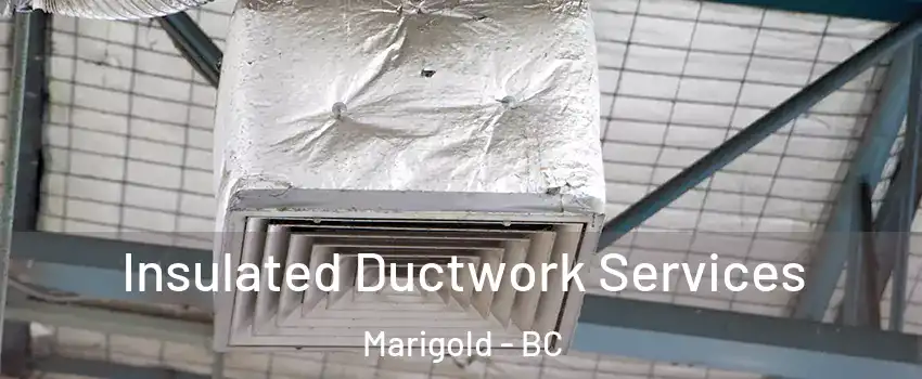  Insulated Ductwork Services Marigold - BC