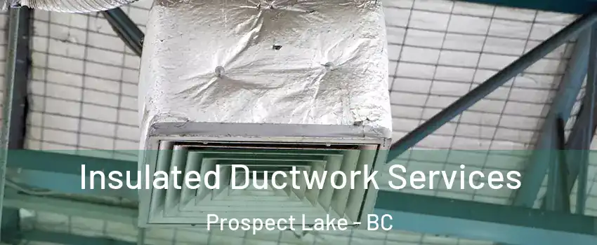  Insulated Ductwork Services Prospect Lake - BC