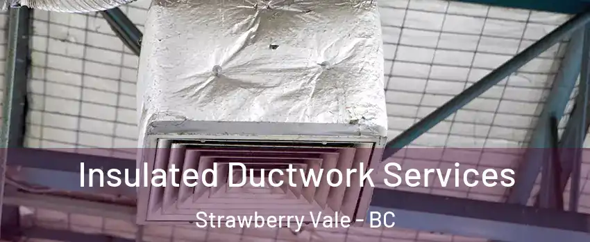  Insulated Ductwork Services Strawberry Vale - BC