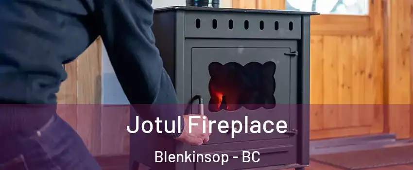  Jotul Fireplace Blenkinsop - BC