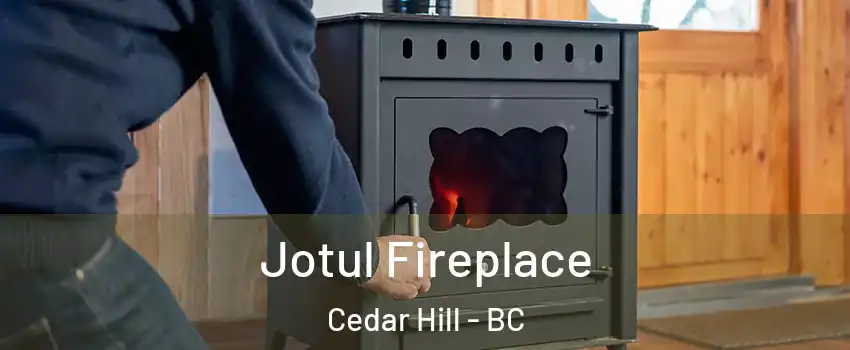 Jotul Fireplace Cedar Hill - BC