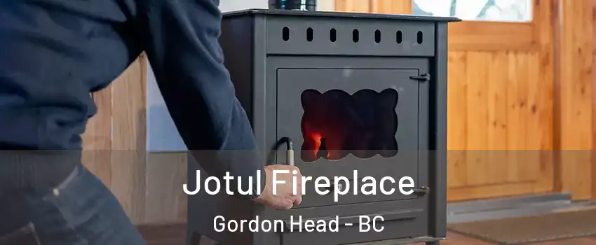  Jotul Fireplace Gordon Head - BC