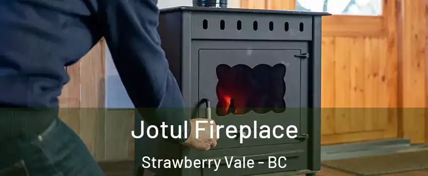  Jotul Fireplace Strawberry Vale - BC