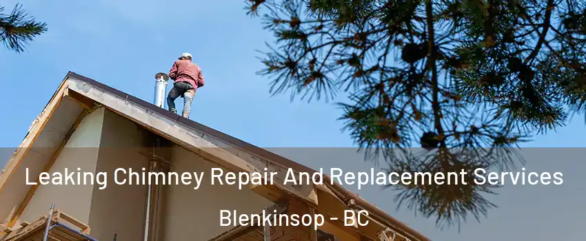  Leaking Chimney Repair And Replacement Services Blenkinsop - BC
