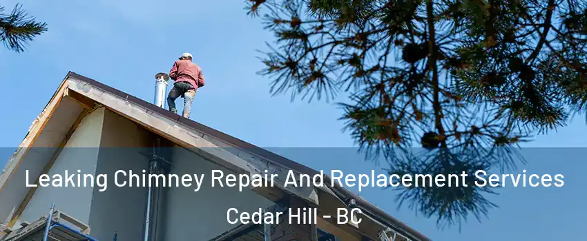  Leaking Chimney Repair And Replacement Services Cedar Hill - BC