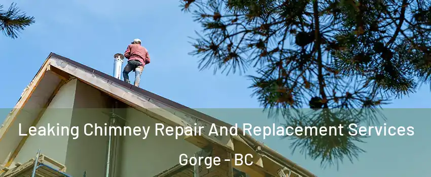  Leaking Chimney Repair And Replacement Services Gorge - BC