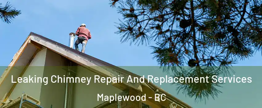  Leaking Chimney Repair And Replacement Services Maplewood - BC