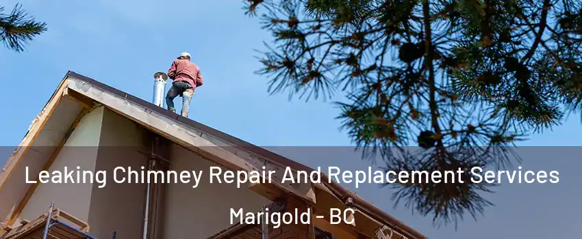  Leaking Chimney Repair And Replacement Services Marigold - BC