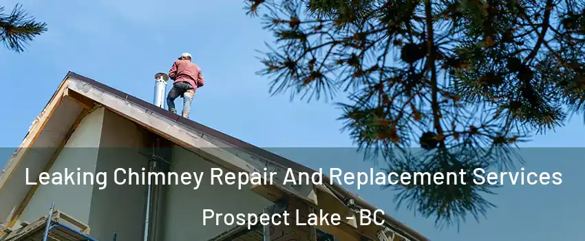 Leaking Chimney Repair And Replacement Services Prospect Lake - BC