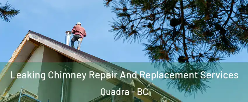  Leaking Chimney Repair And Replacement Services Quadra - BC