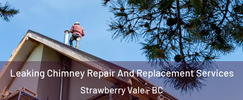 Leaking Chimney Repair And Replacement Services Strawberry Vale - BC