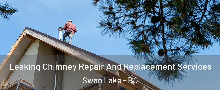  Leaking Chimney Repair And Replacement Services Swan Lake - BC
