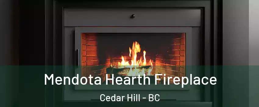 Mendota Hearth Fireplace Cedar Hill - BC