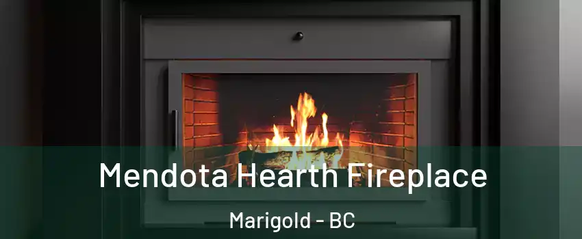  Mendota Hearth Fireplace Marigold - BC