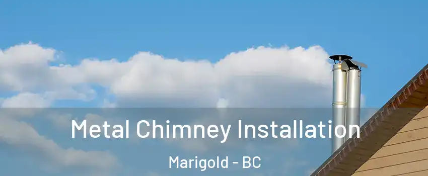  Metal Chimney Installation Marigold - BC