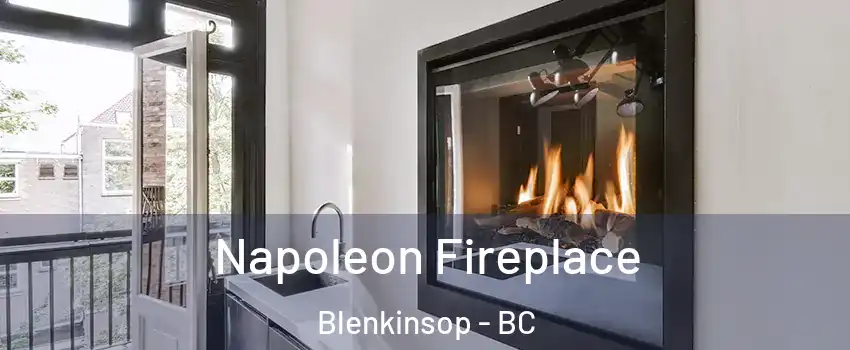  Napoleon Fireplace Blenkinsop - BC