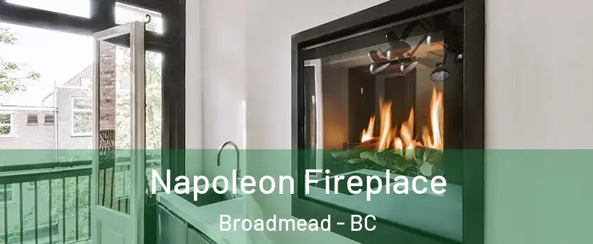  Napoleon Fireplace Broadmead - BC