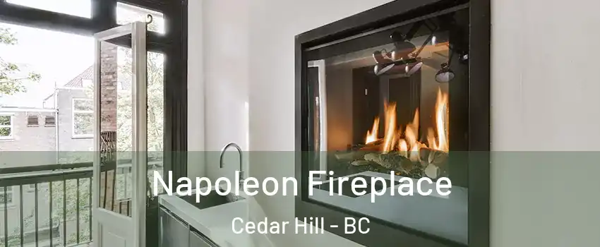  Napoleon Fireplace Cedar Hill - BC